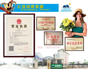 2017花海設計、造價與十年種植施工經驗下的數字內容制作服務